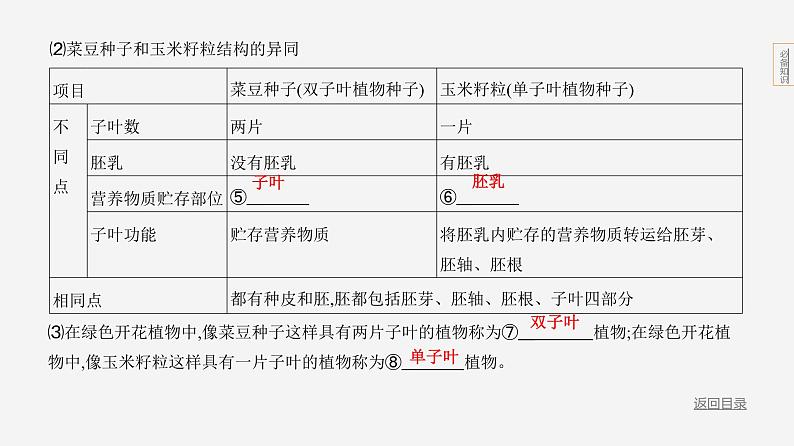 主题4 植物的生活--2024年中考 北京版初中生物 一轮复习课件05