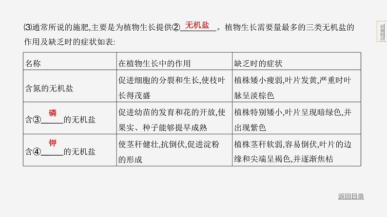 主题4 植物的生活--2024年中考 北京版初中生物 一轮复习课件04