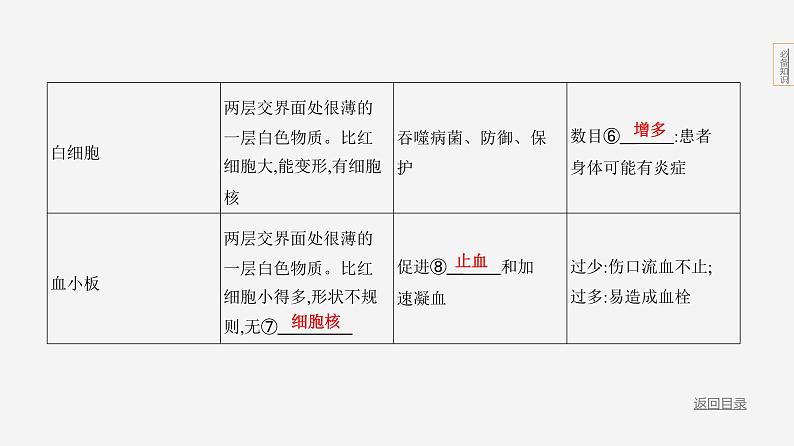 主题5 人体的生命活动--2024年中考 北京版初中生物 一轮复习课件05