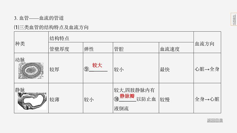 主题5 人体的生命活动--2024年中考 北京版初中生物 一轮复习课件06