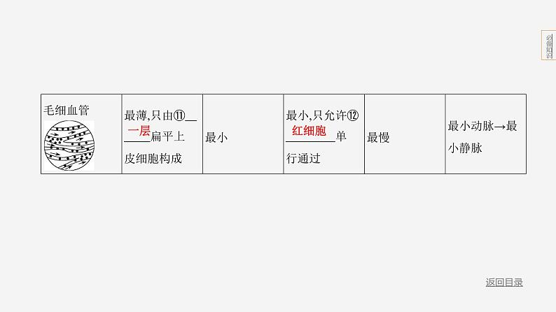 主题5 人体的生命活动--2024年中考 北京版初中生物 一轮复习课件07