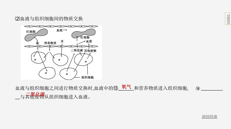 主题5 人体的生命活动--2024年中考 北京版初中生物 一轮复习课件08