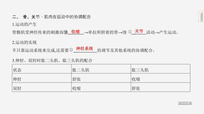 主题5 人体的生命活动--2024年中考 北京版初中生物 一轮复习课件07