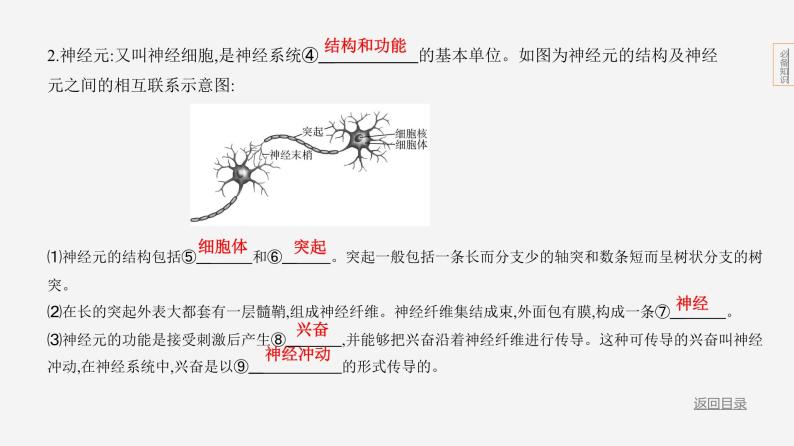 主题5 人体的生命活动--2024年中考 北京版初中生物 一轮复习课件05