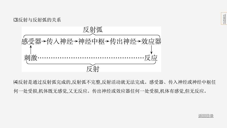 主题5 人体的生命活动--2024年中考 北京版初中生物 一轮复习课件07