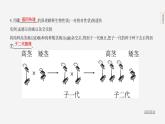 主题6 遗传与进化--2024年中考 北京版初中生物 一轮复习课件