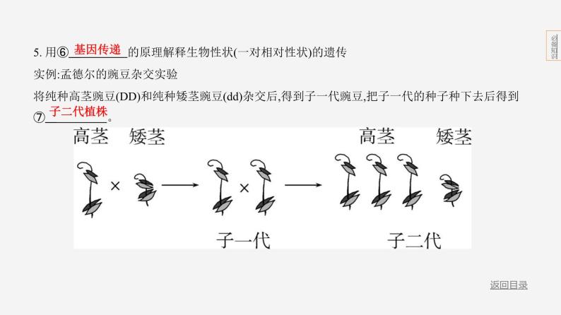 主题6 遗传与进化--2024年中考 北京版初中生物 一轮复习课件04