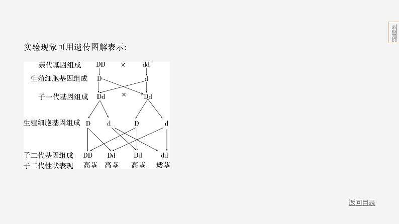 专题2　生物的遗传和变异第5页