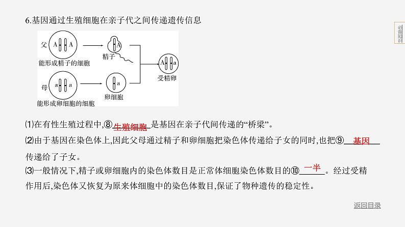 专题2　生物的遗传和变异第6页