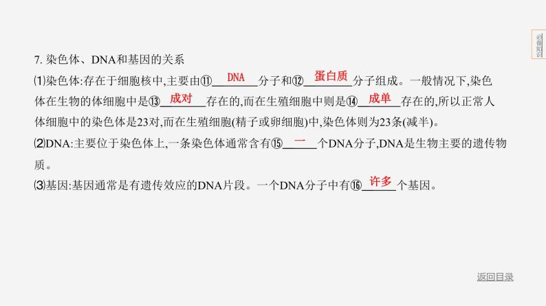 主题6 遗传与进化--2024年中考 北京版初中生物 一轮复习课件07