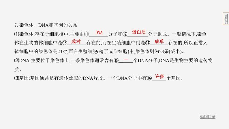 专题2　生物的遗传和变异第7页