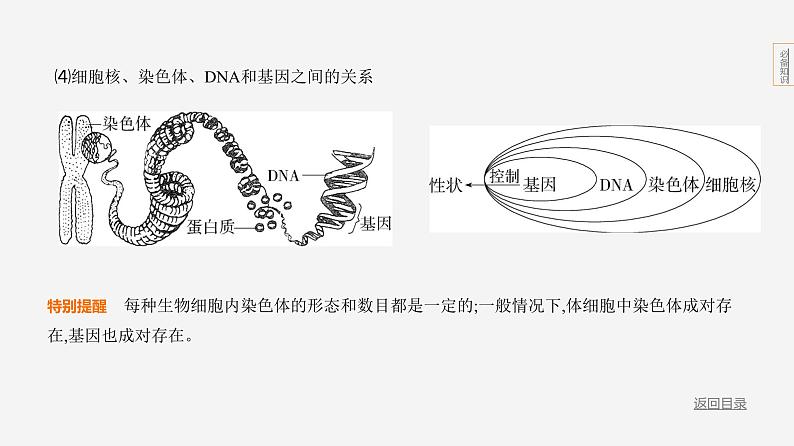 专题2　生物的遗传和变异第8页