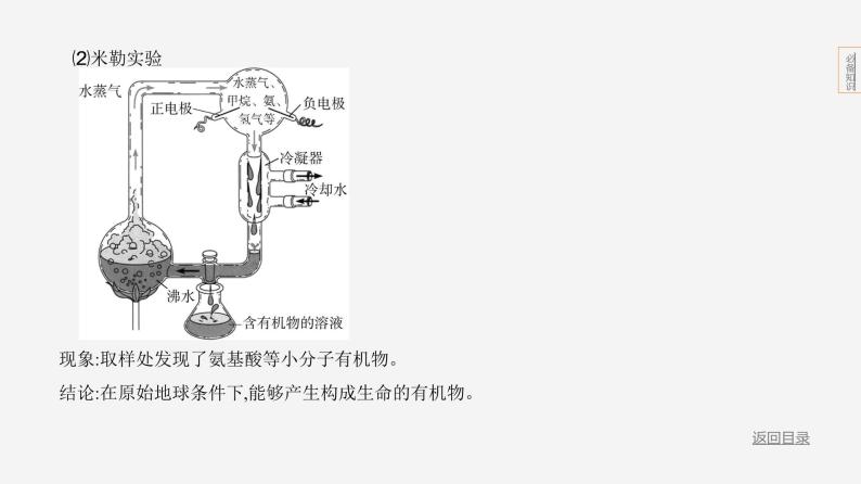 主题6 遗传与进化--2024年中考 北京版初中生物 一轮复习课件04