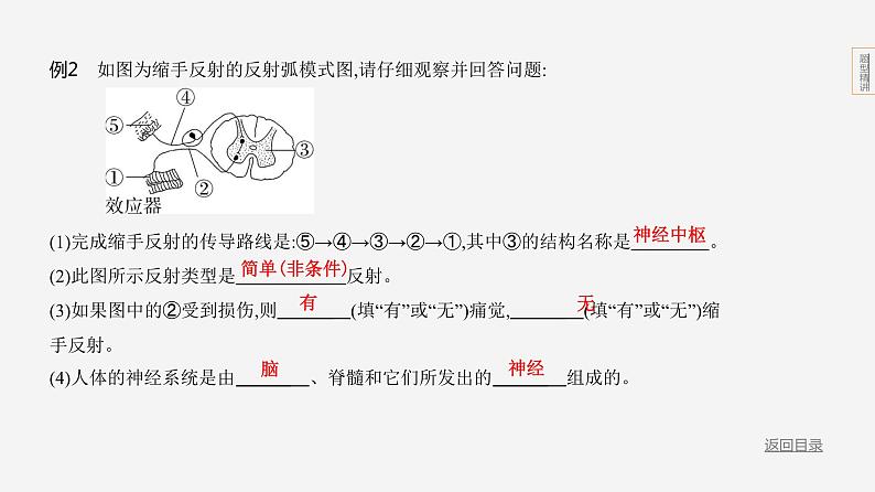 题型突破--2024年中考 北京版初中生物 一轮复习课件06