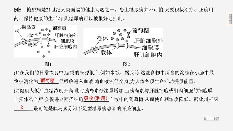 题型突破--2024年中考 北京版初中生物 一轮复习课件08