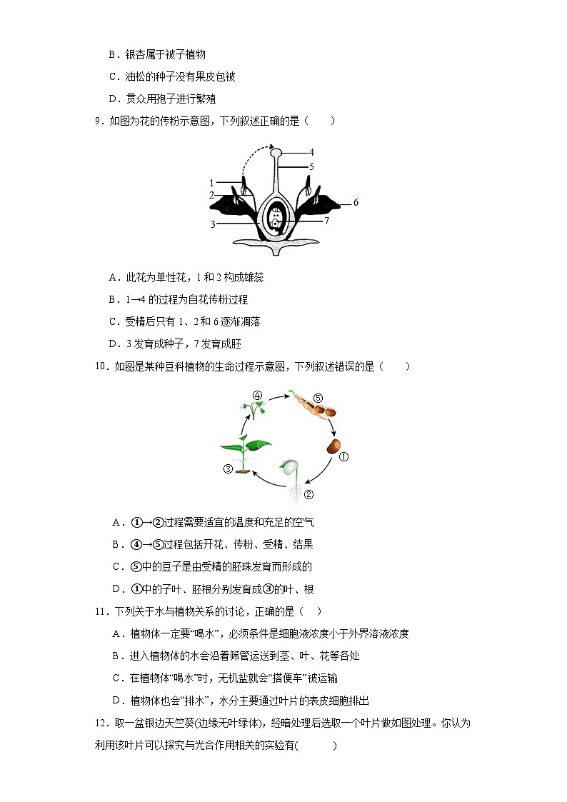 2024年河北省中考生物学模拟试卷 (一)03