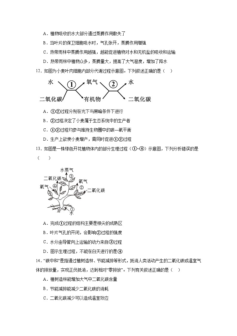 2024年河北省中考生物学模拟试卷 (四)03