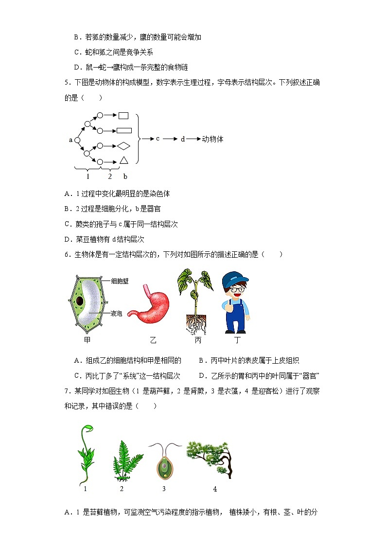 2024年河北省中考生物学模拟试卷 (五)02