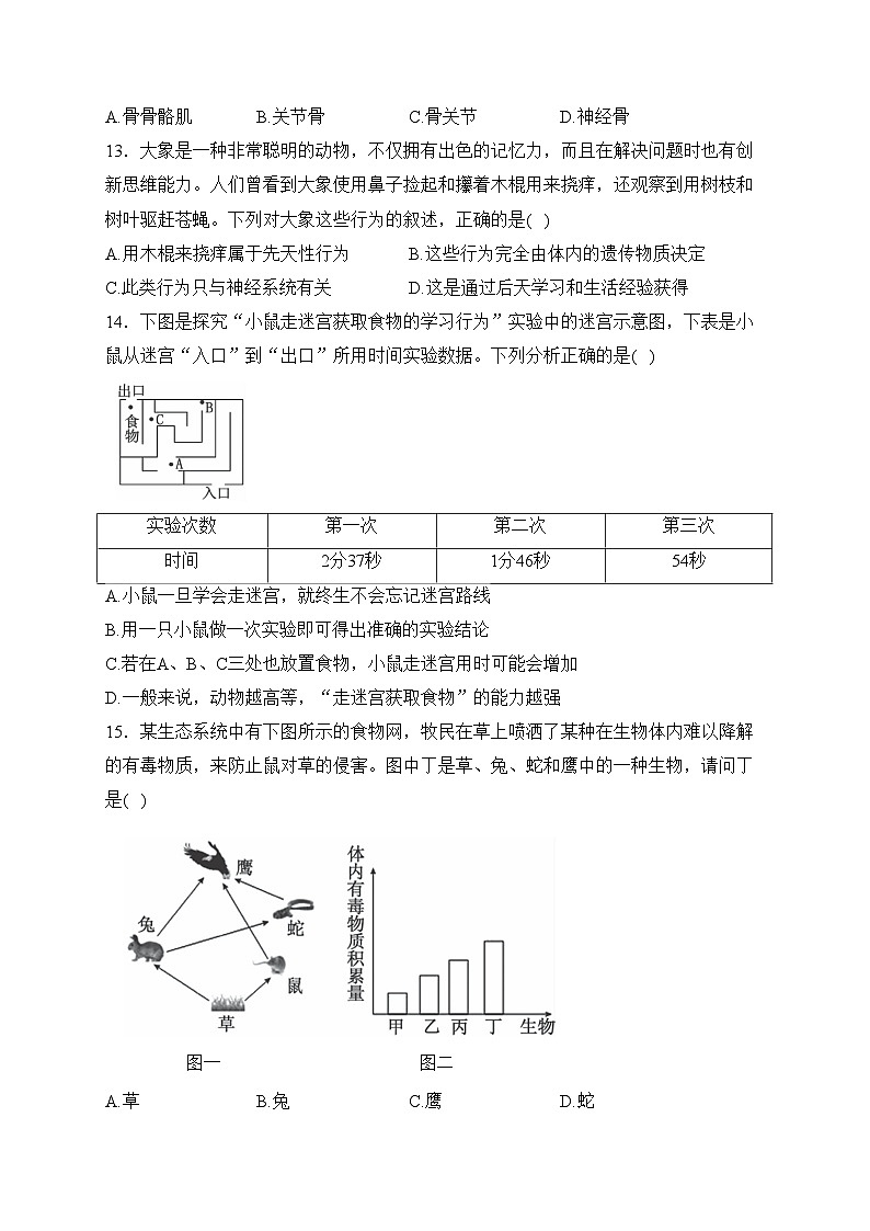 河南省洛阳市嵩县2023-2024学年八年级上学期期末考试生物试卷(含答案)第3页