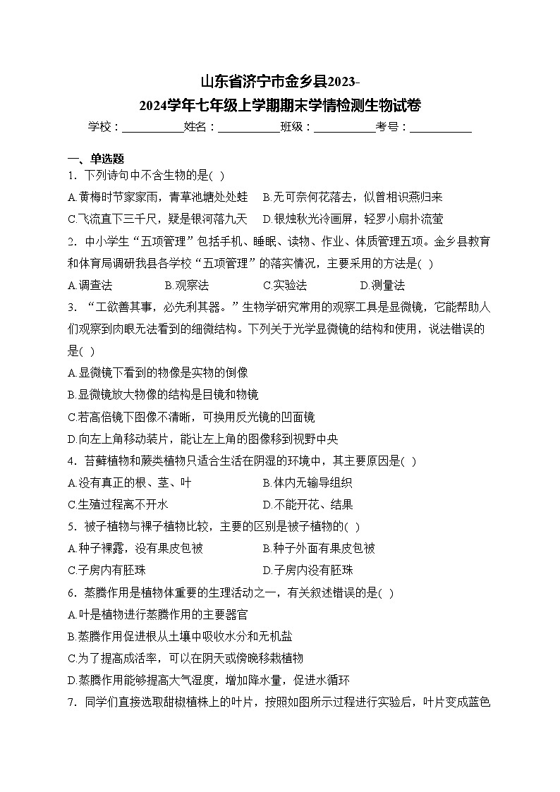 山东省济宁市金乡县2023-2024学年七年级上学期期末学情检测生物试卷(含答案)01