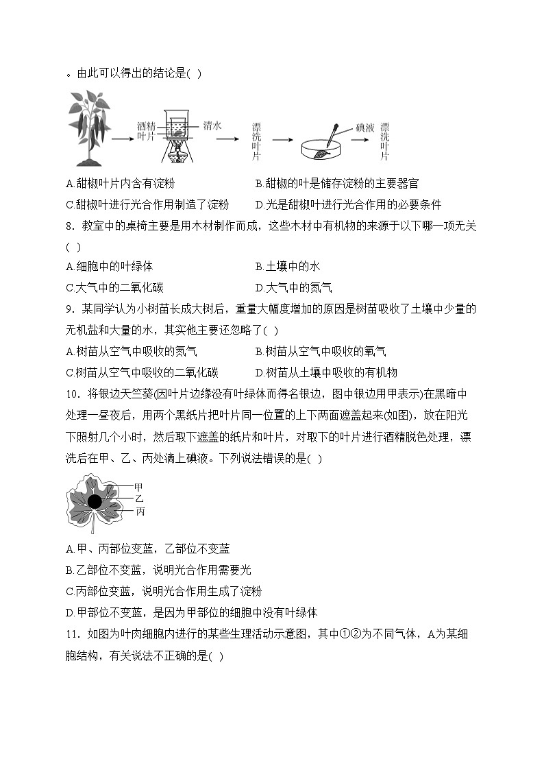 山东省济宁市金乡县2023-2024学年七年级上学期期末学情检测生物试卷(含答案)02