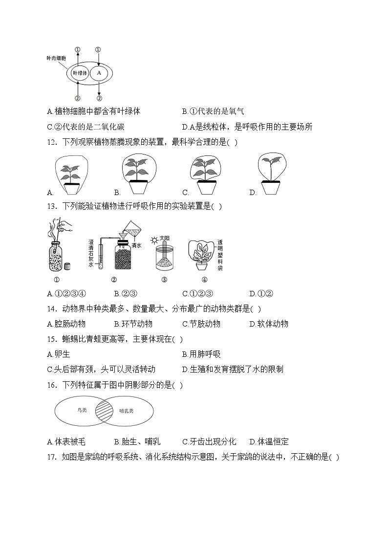 山东省济宁市金乡县2023-2024学年七年级上学期期末学情检测生物试卷(含答案)03