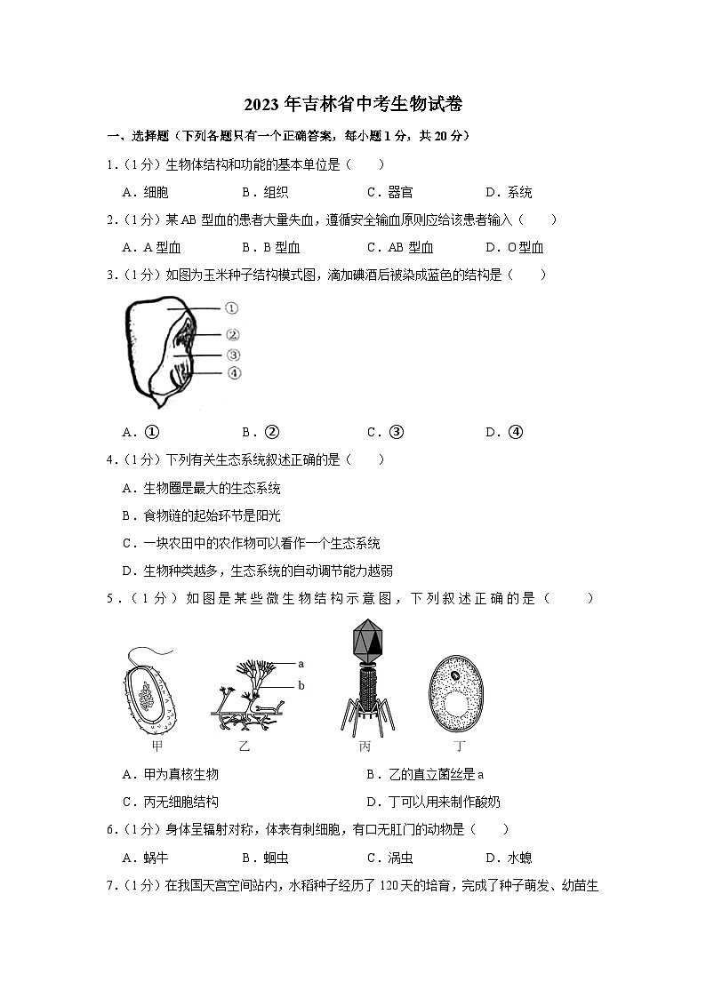 2023年吉林省中考生物试卷(含答案)01