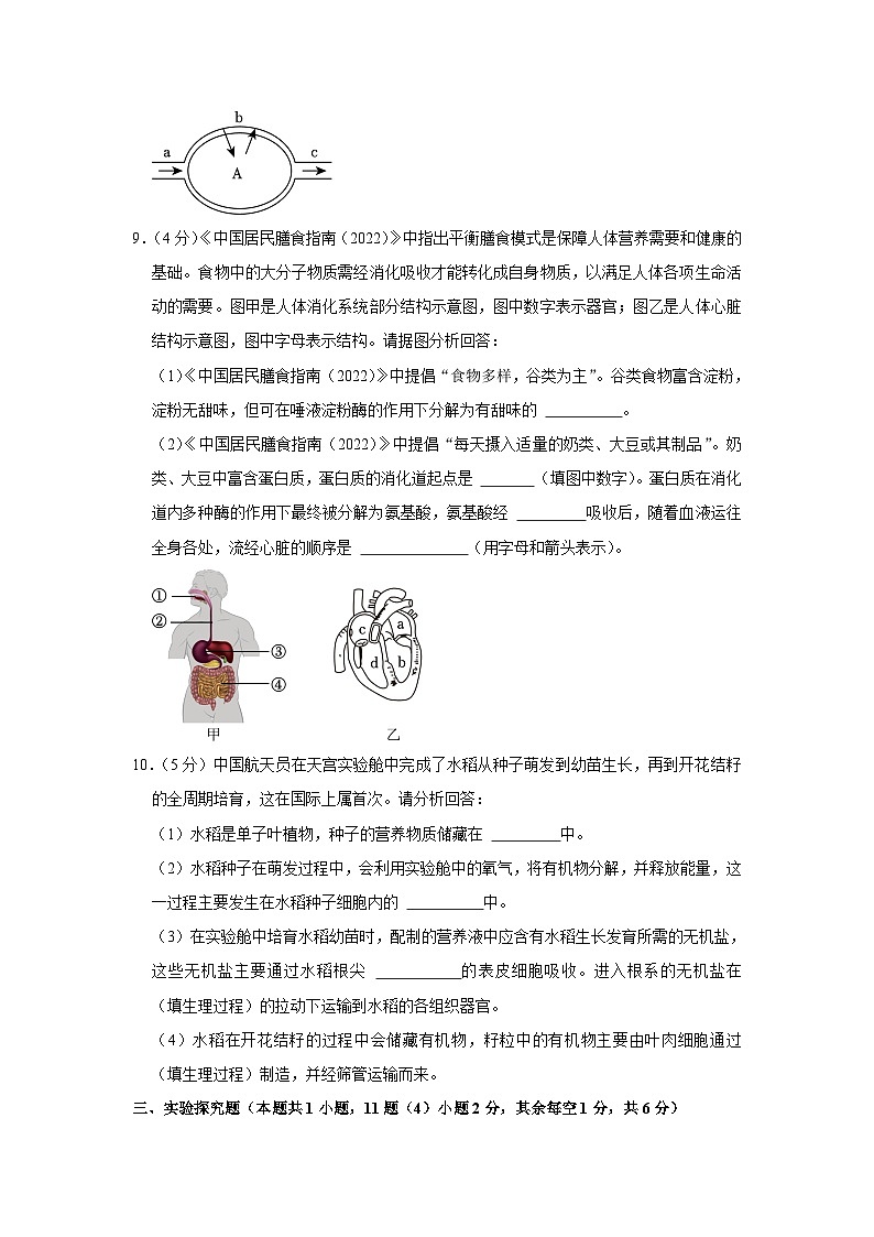 2023年四川省泸州市中考生物试卷(含答案)03
