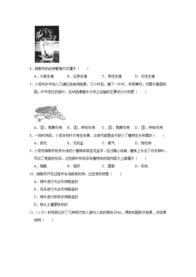 2023年山西省阳泉市中考生物试卷(含答案)02