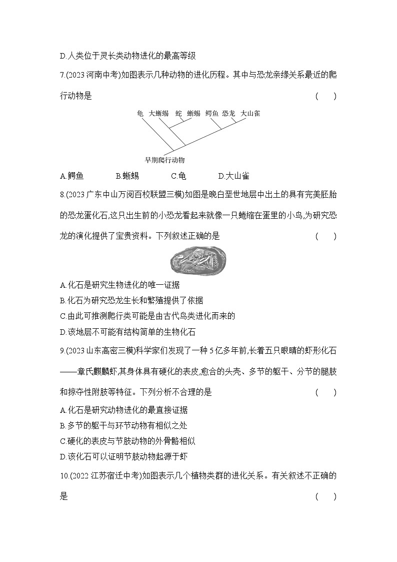 7.3.2《生物进化的历程》-人教版初中生物八年级下册同步练习03