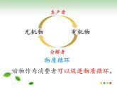 5.17.1++动物在生物圈中的作用++课件-2023-2024学年北师大版生物八年级上册