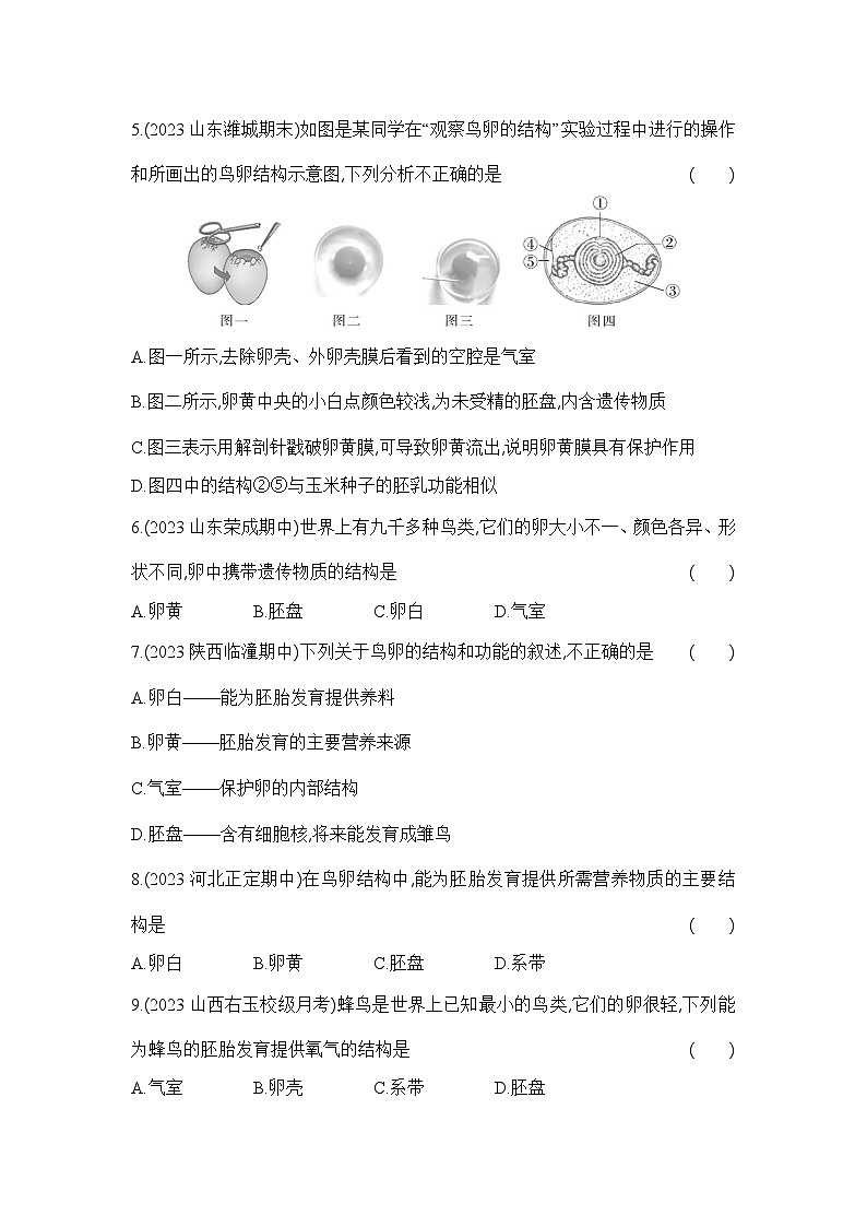 7.1.4《鸟类的生殖和发育》-人教版初中生物八年级下册同步练习02