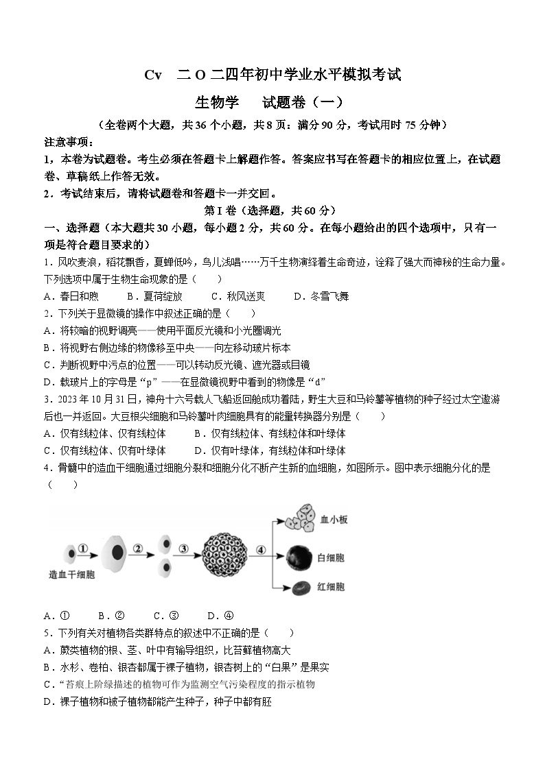 07，2024年云南省云天化中学八年级学业水平考试生物模拟卷（1）01