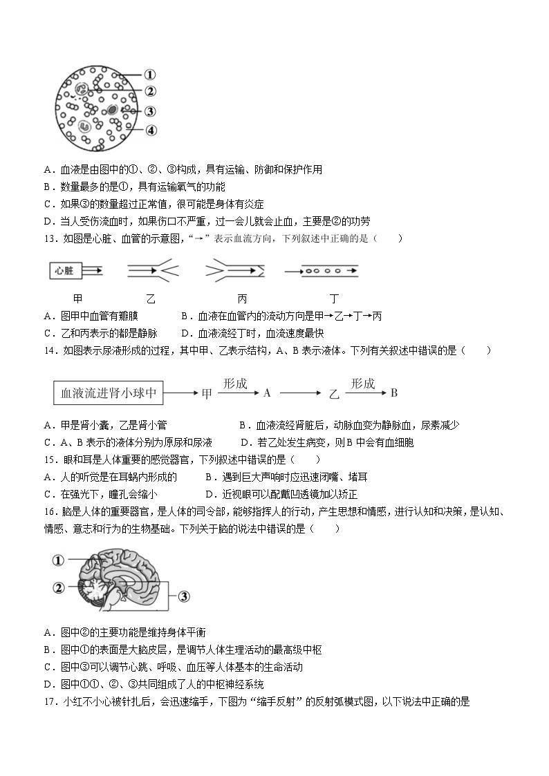 07，2024年云南省云天化中学八年级学业水平考试生物模拟卷（1）03