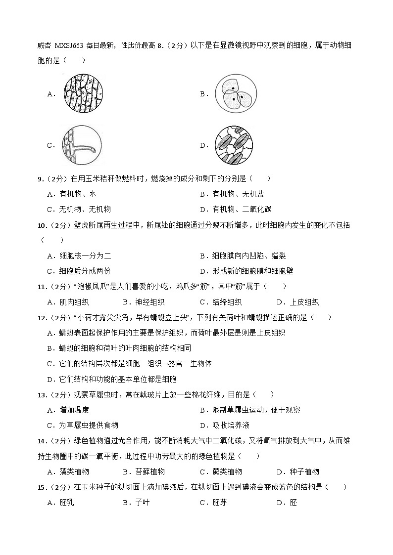 22，甘肃省武威市凉州区四中教研联片2023-2024学年七年级下学期开学考试生物试题第2页