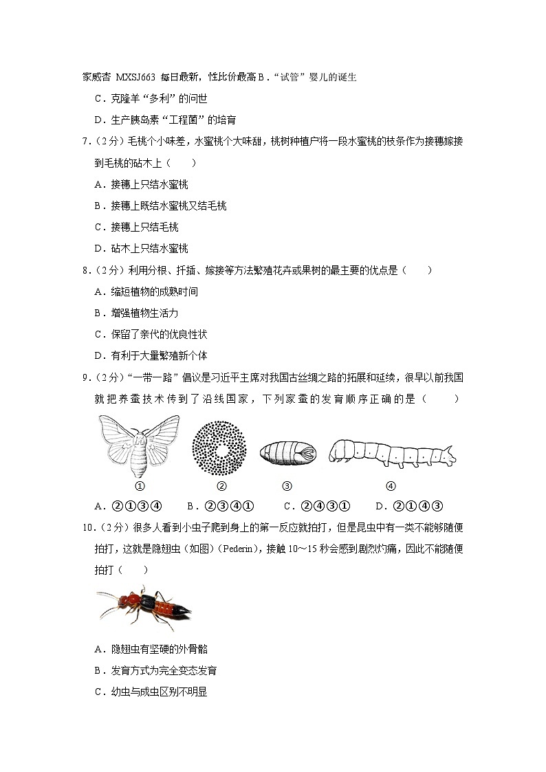 28，四川省泸州市泸县第五中学2022-2023学年八年级下学期4月份月考生物试卷02
