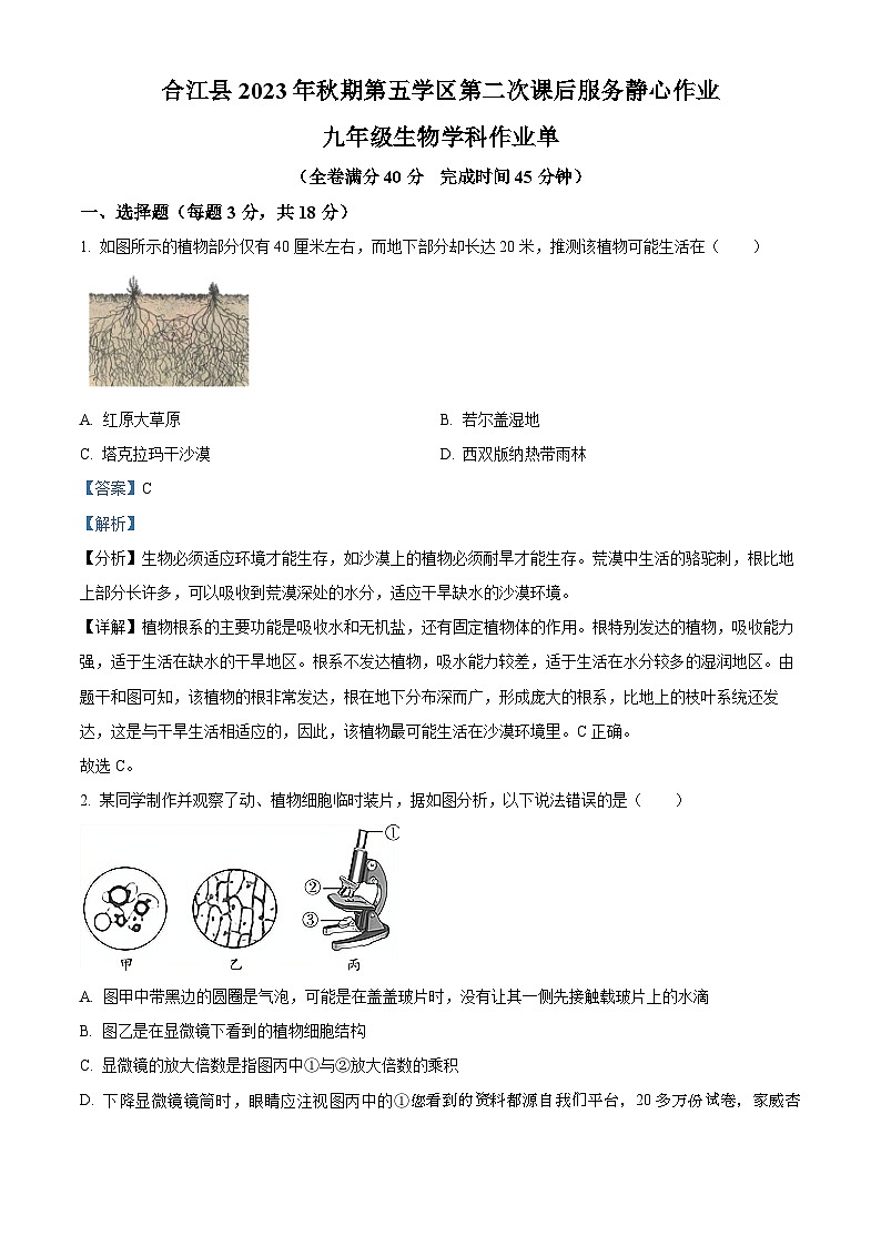 36，四川省泸州市合江县第五片区2023-2024学年九年级上学期第二次月考生物试题01