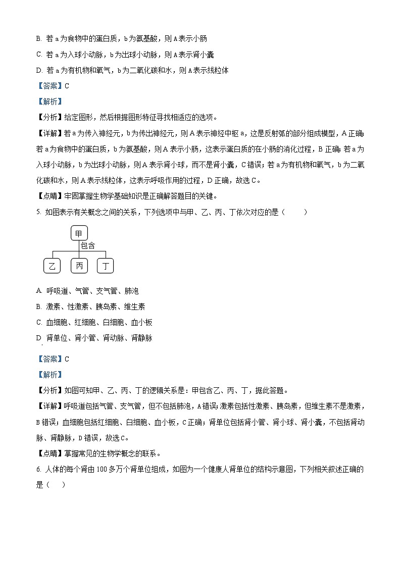36，四川省泸州市合江县第五片区2023-2024学年九年级上学期第二次月考生物试题03