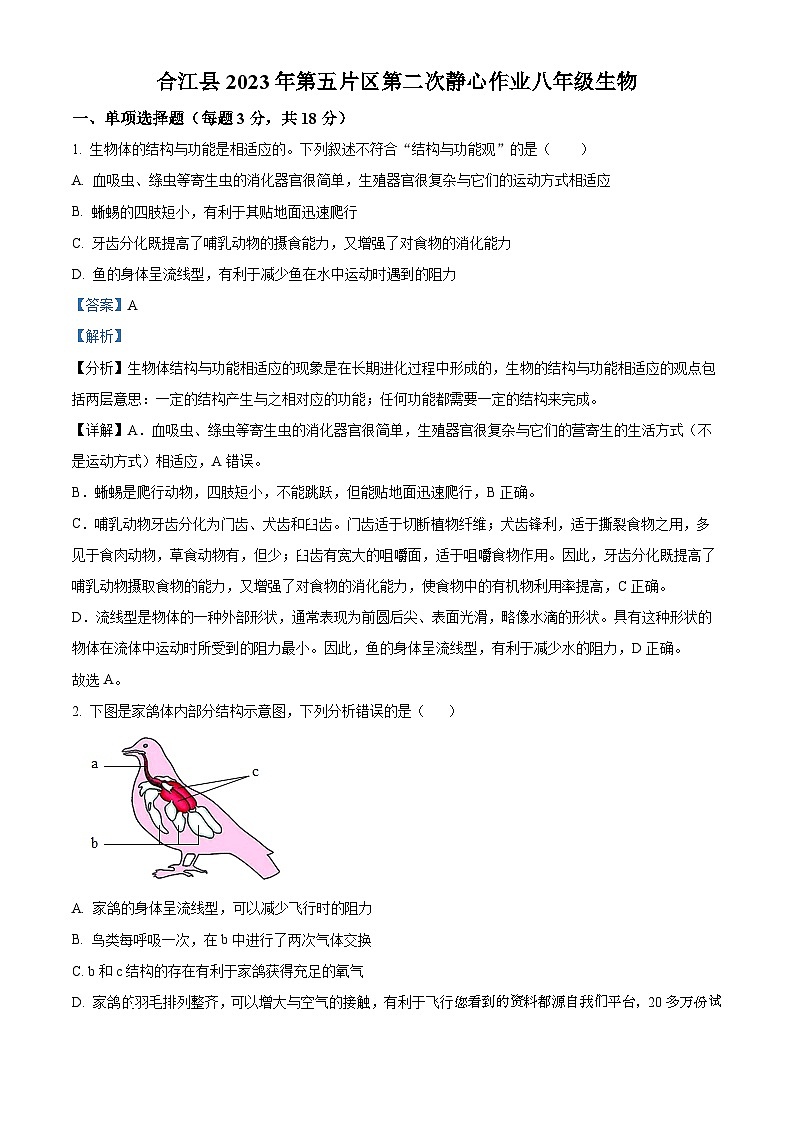 39，四川省泸州市合江县第五片区2023-2024学年八年级上学期第二次月考生物试题01