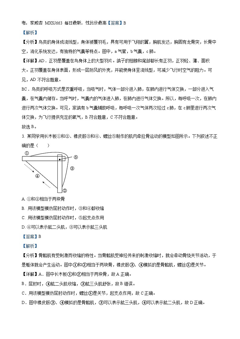 39，四川省泸州市合江县第五片区2023-2024学年八年级上学期第二次月考生物试题02