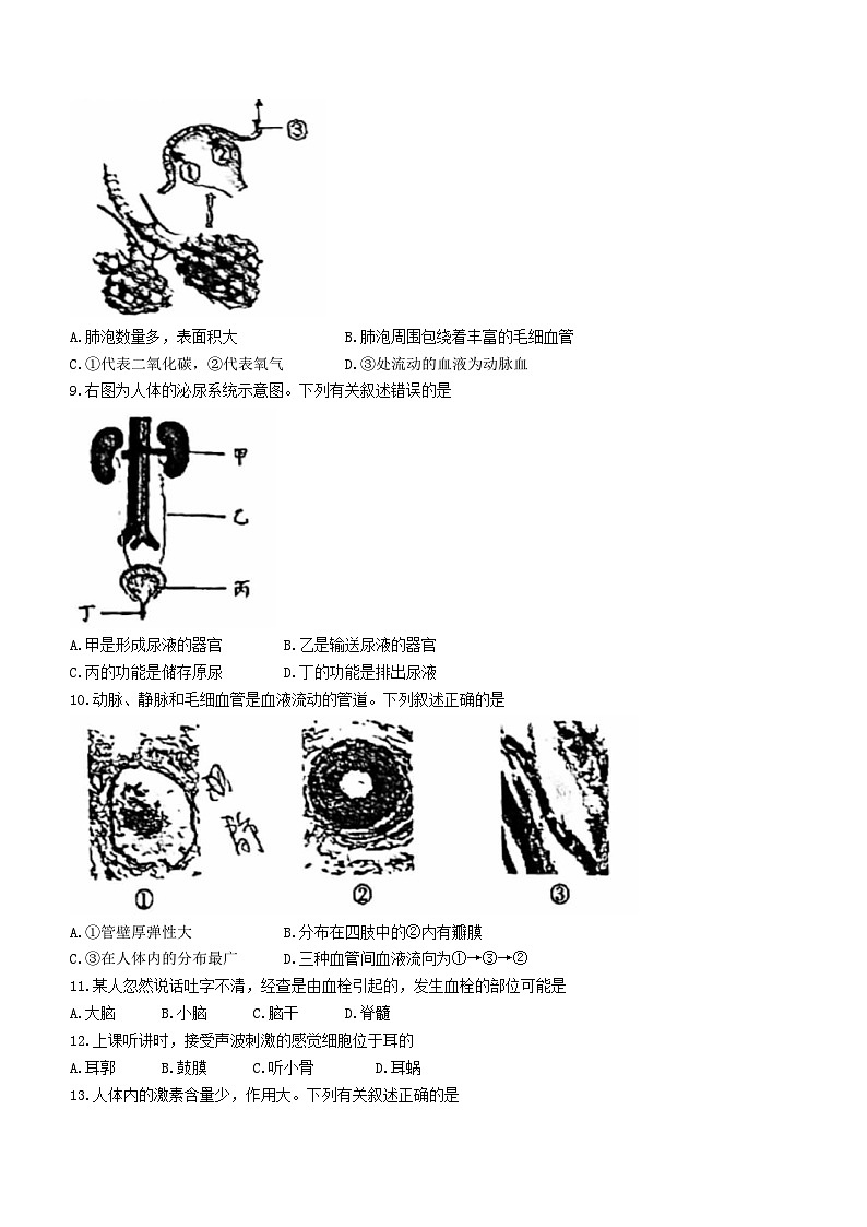 北京市第二中学教育集团2022-2023学年七年级下学期期末考试生物试卷第3页