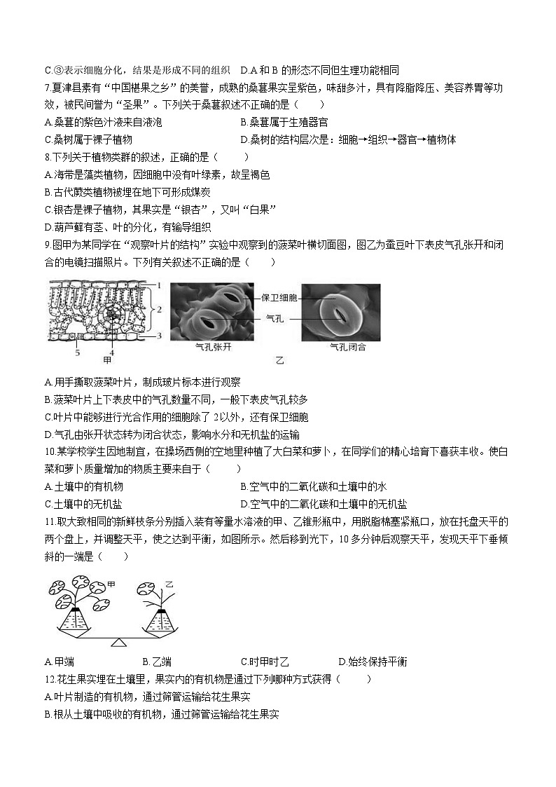 山东省德州市夏津县2023-2024学年七年级上学期期末生物试题02