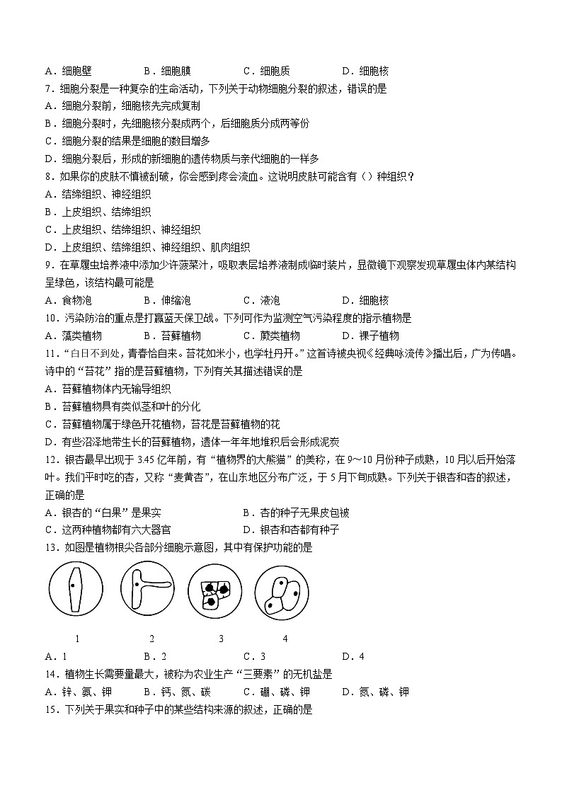 山东省临沂市沂水县2023-2024学年七年级上学期期末生物试题02