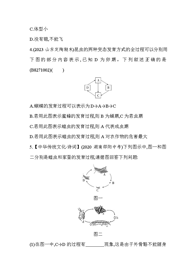7.12　昆虫的生殖和发育-人教版初中生物八年级下册同步练习02