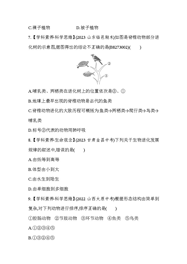 7.32　生物进化的历程-人教版初中生物八年级下册同步练习第3页