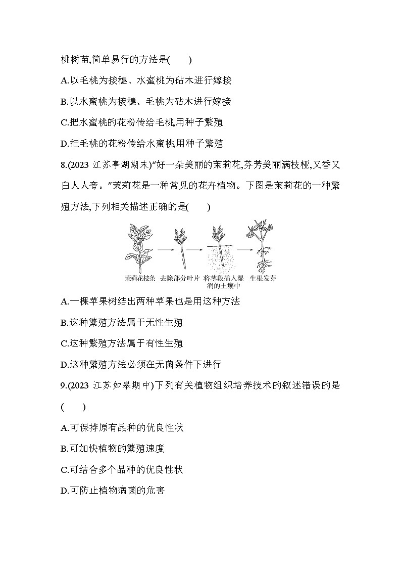 专项素养综合全练(一)  植物的无性生殖-人教版初中生物八年级下册同步练习第3页