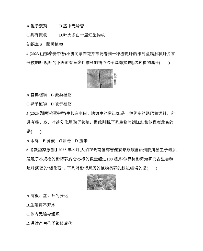13.4 植物--北京版初中生物八年级下册同步练习第2页
