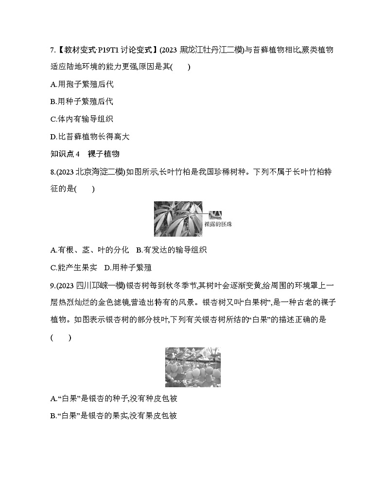 13.4 植物--北京版初中生物八年级下册同步练习第3页