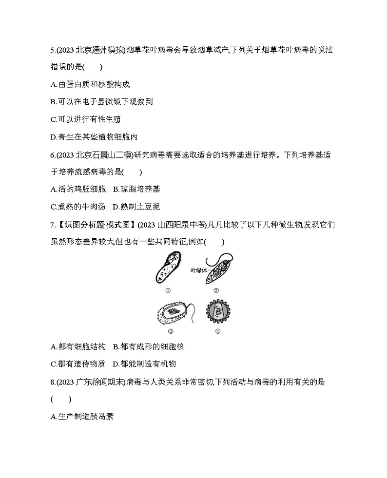 13.7 病毒--北京版初中生物八年级下册同步练习02