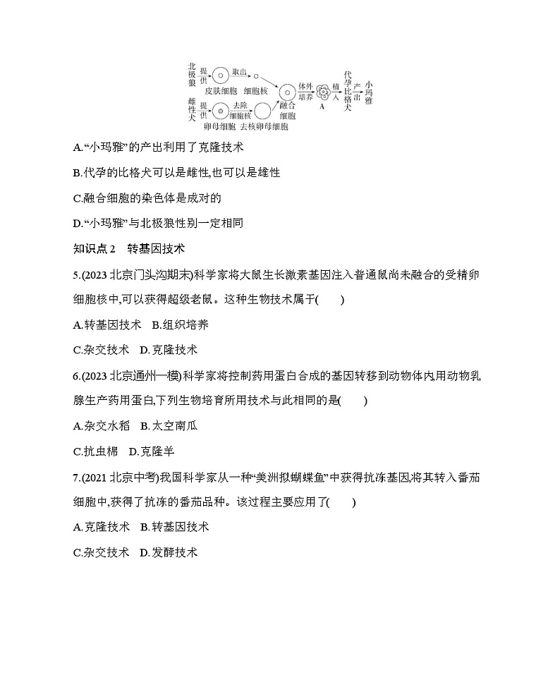 16.2 现代生物技术的发展--北京版初中生物八年级下册同步练习第2页